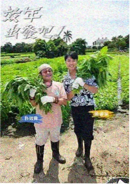 美食纪实综艺山海食单剧照